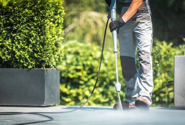 Boat and Dock Cleaning in Longwood, FL