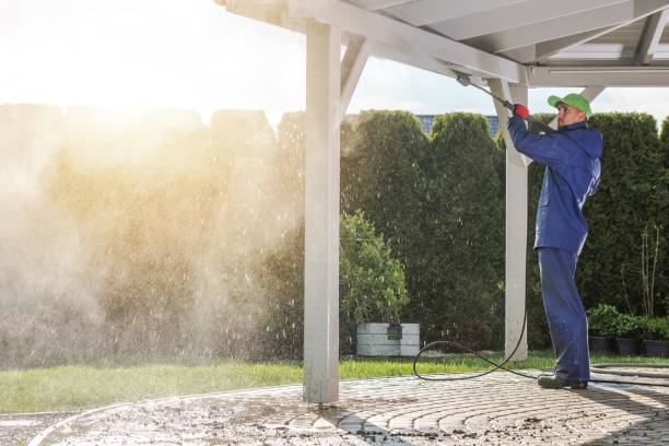 Best Graffiti Removal  in Longwood, FL